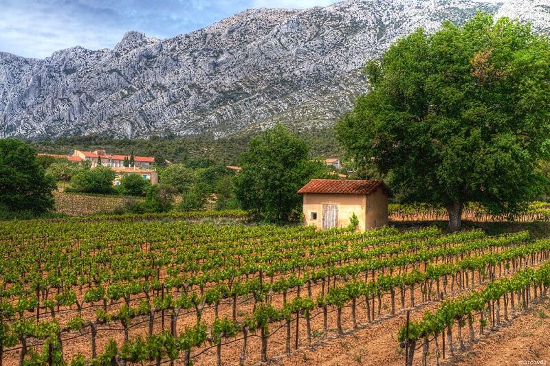 Coteaux d Aix en Provence Wine Tour 14