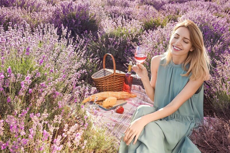 Lavender Provence  Picnic
